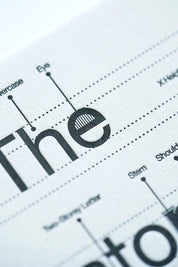 Anatomy Of Typography - Letterpress Postcard