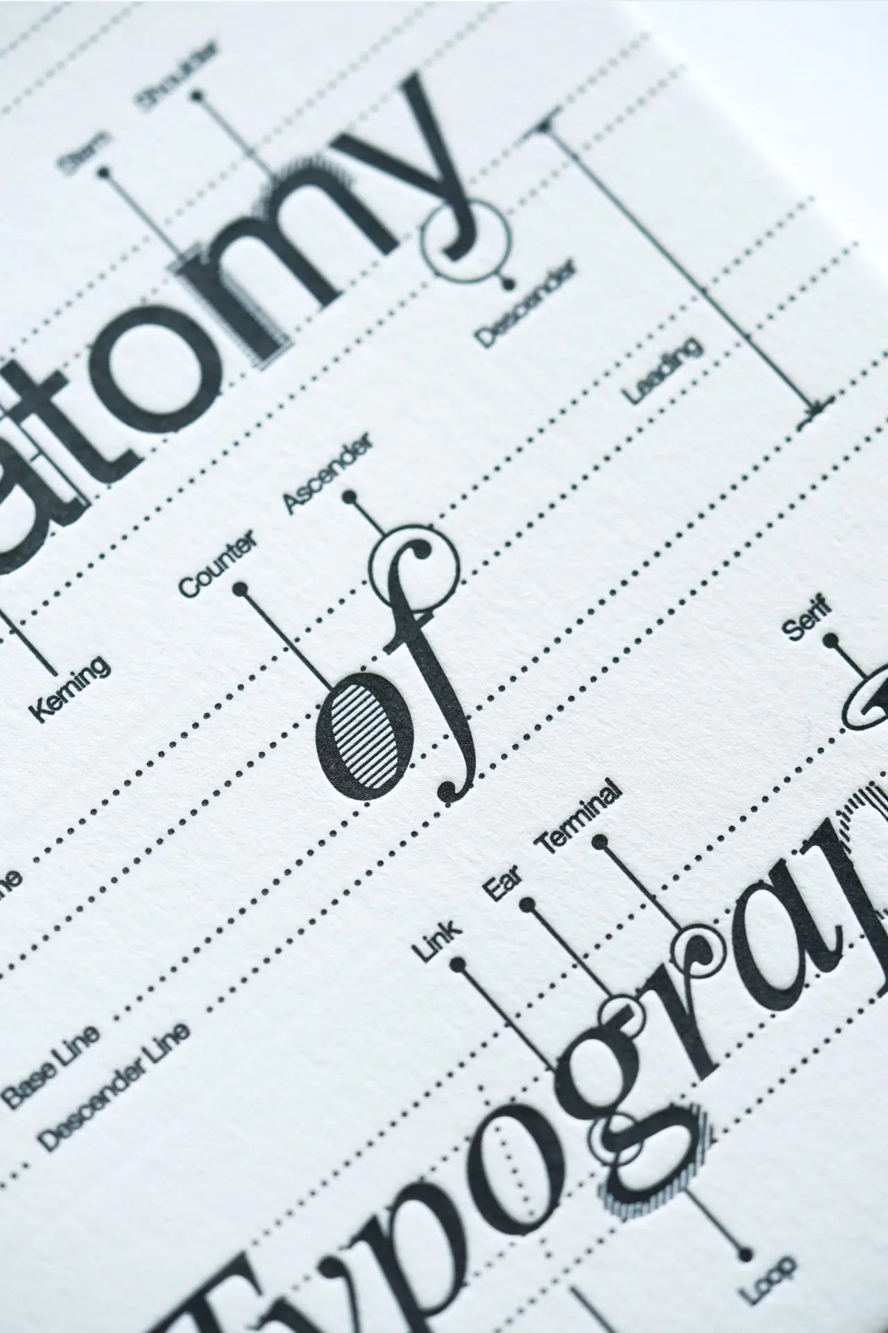 Anatomy Of Typography - Letterpress Postcard