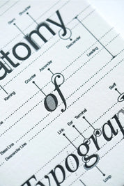 Anatomy Of Typography - Letterpress Postcard