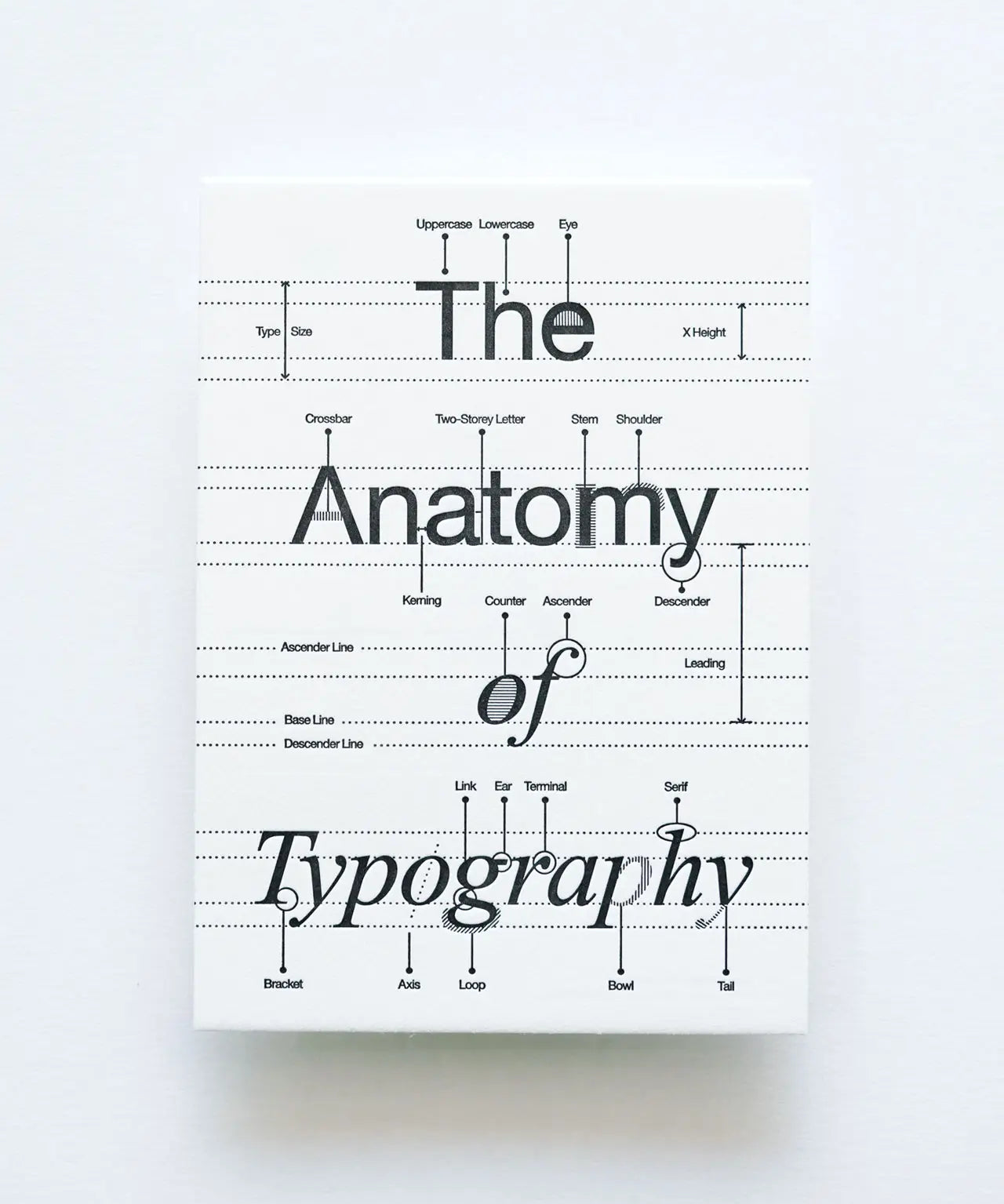 anatomyOfTypeOverview.webp