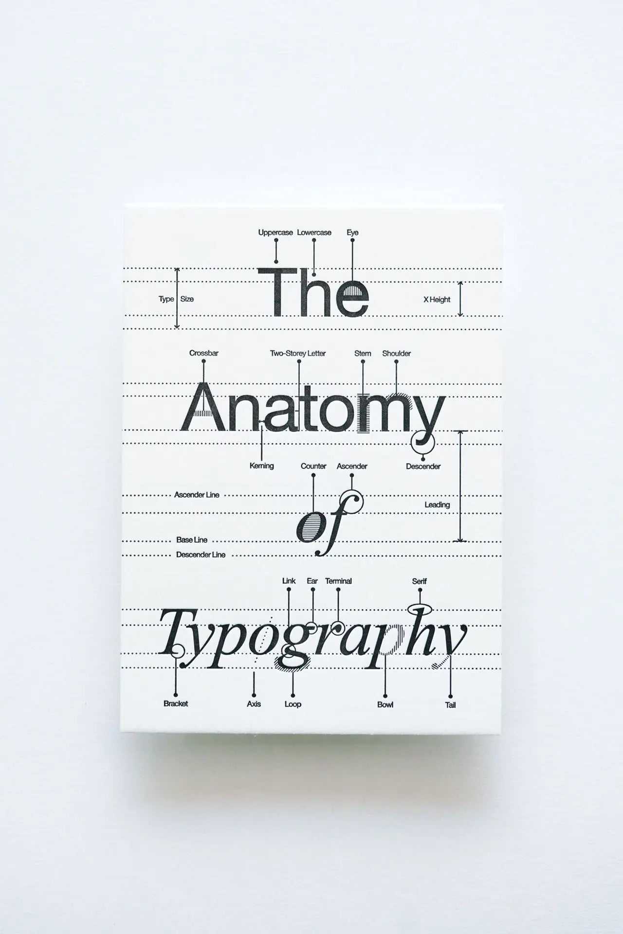 Anatomy Of Typography - Letterpress Postcard