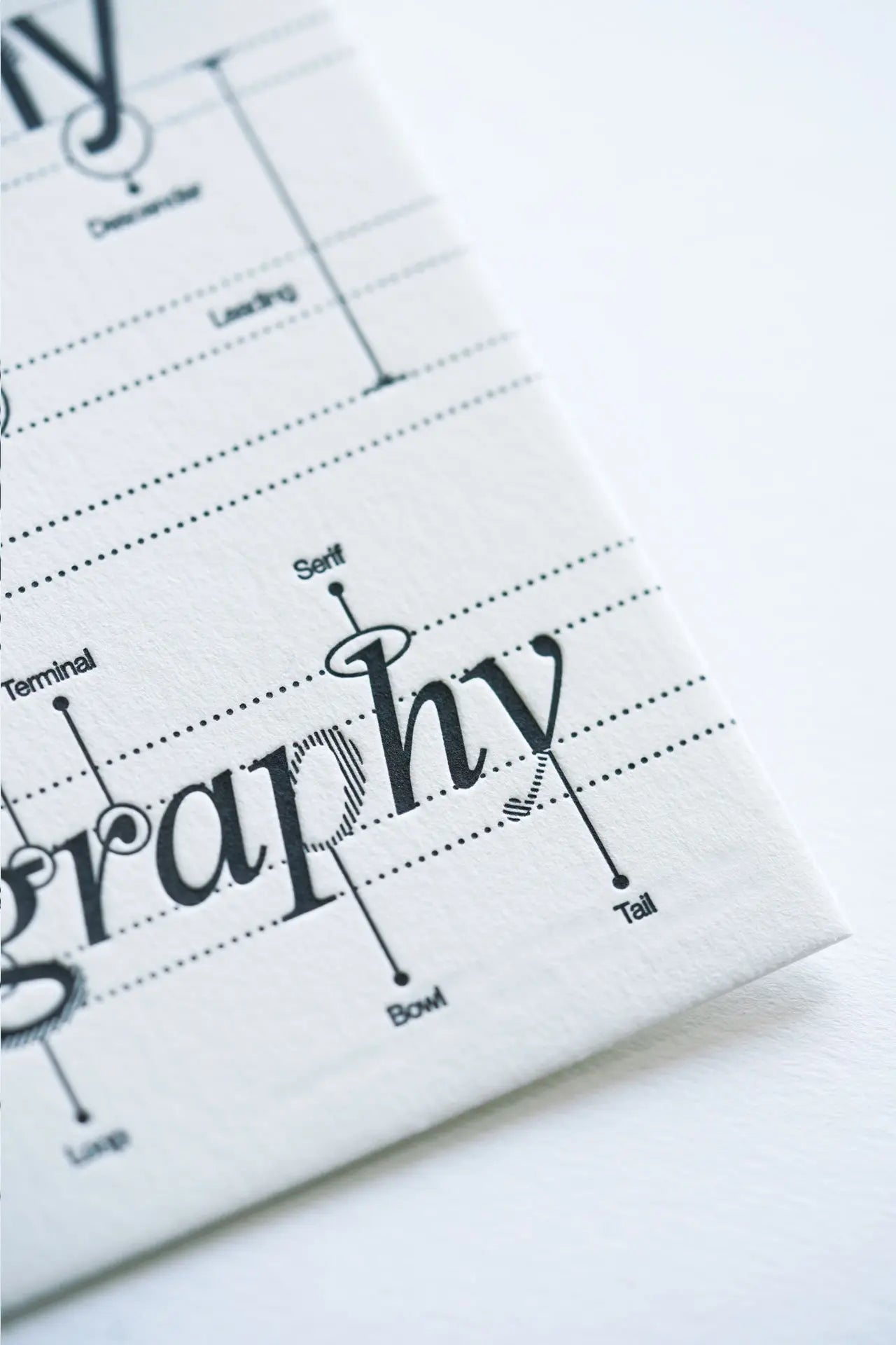 Anatomy Of Typography - Letterpress Postcard