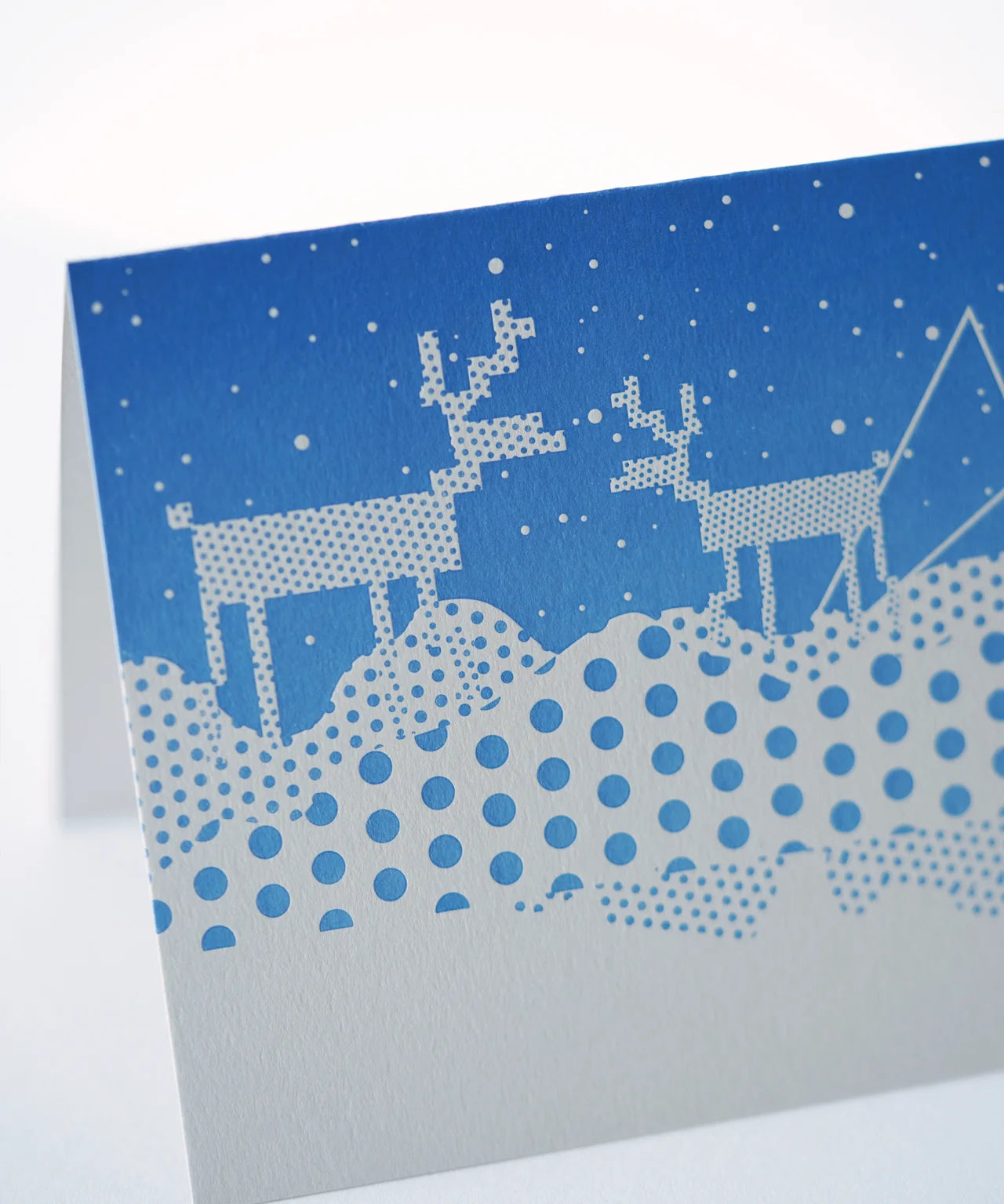 GreetingFirstSnowCloseUp.webp