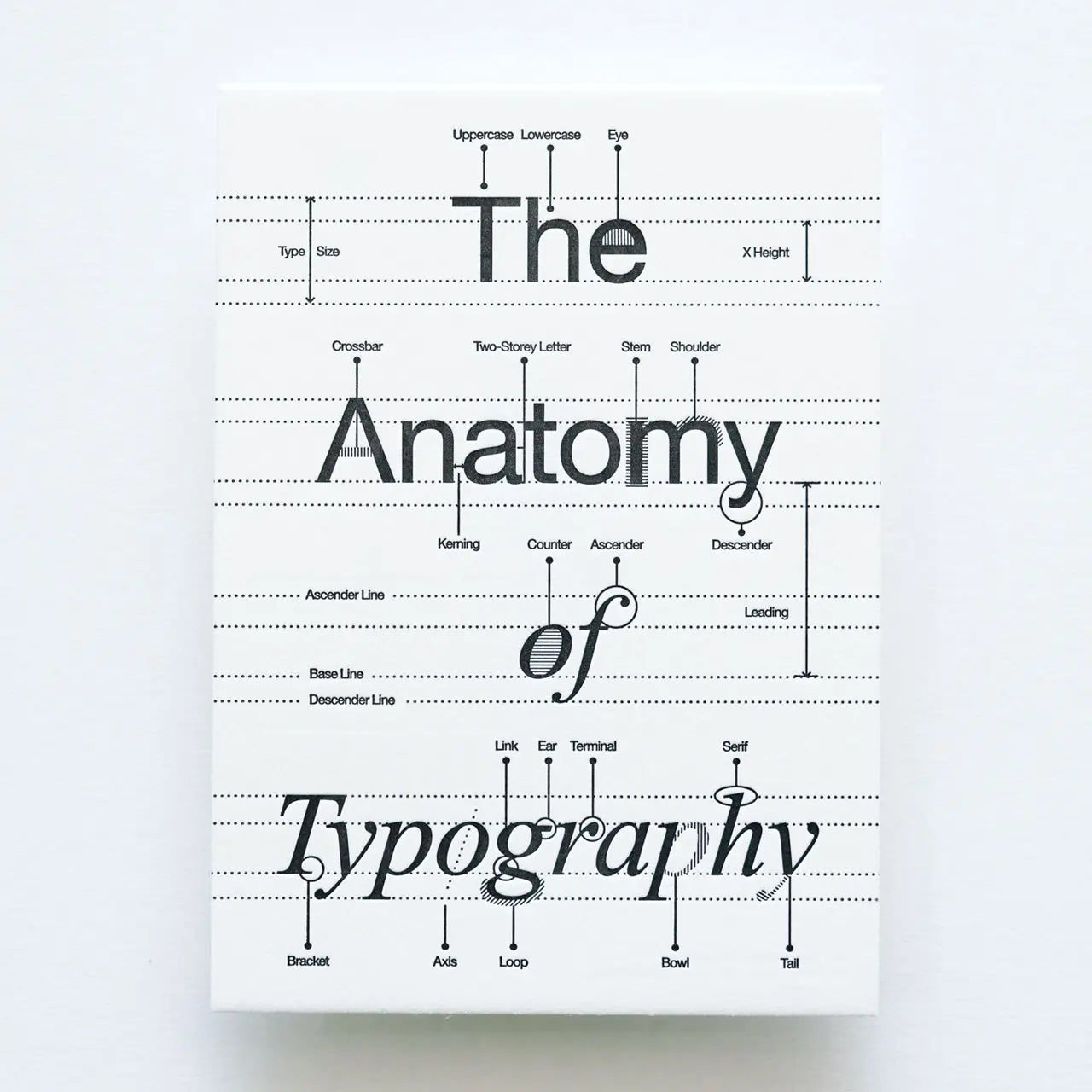 anatomyOfTypeOverview.webp