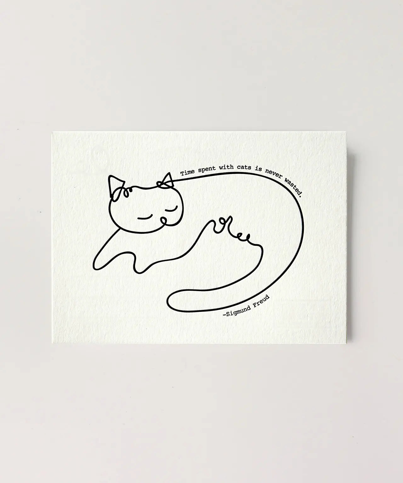 timeWithCatsOverview.webp