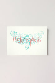 Metamorphosis Postcard