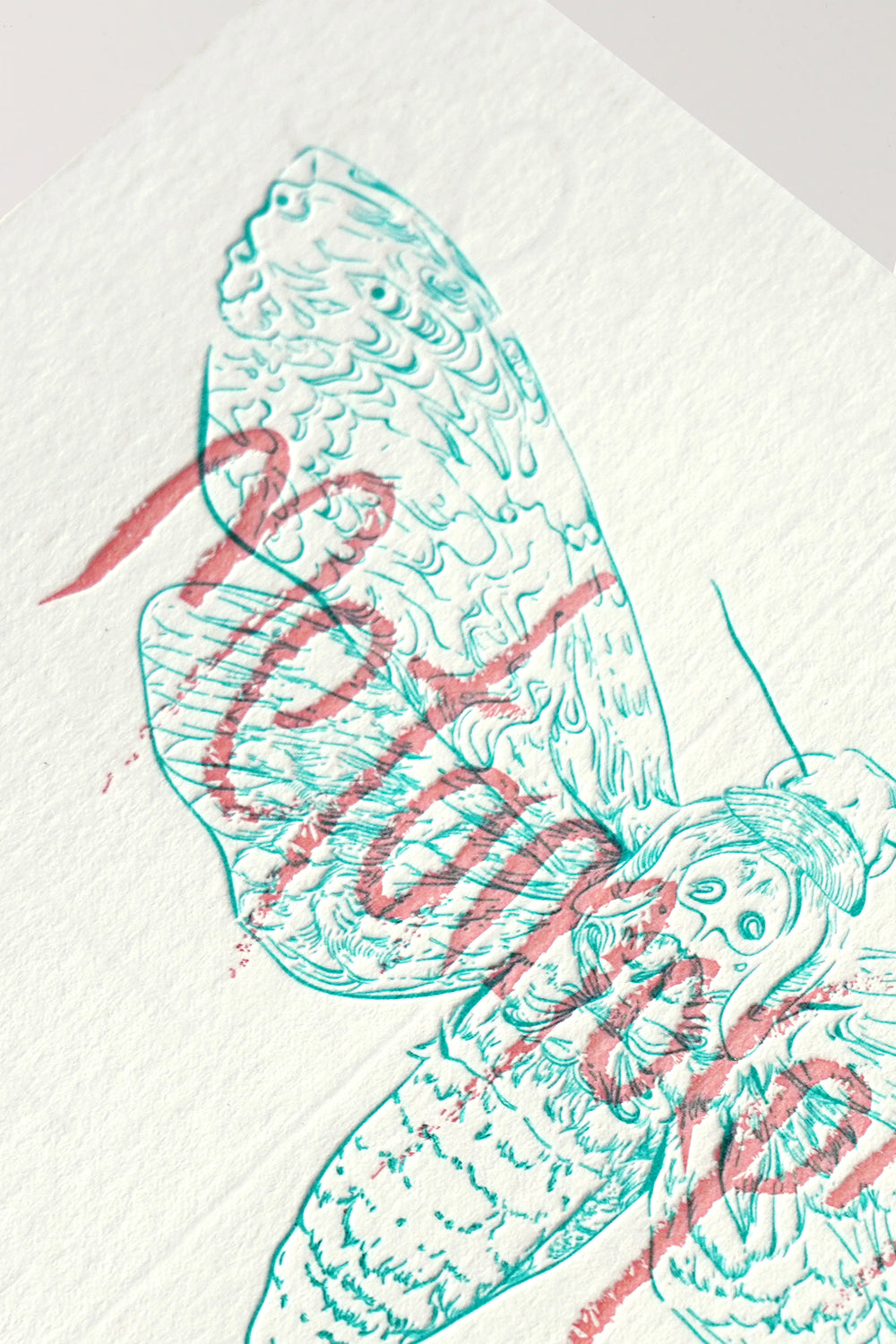 Metamorphosis Postcard