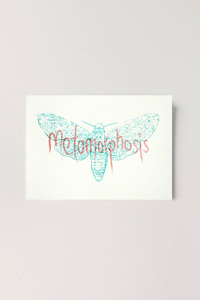 Metamorphosis Postcard